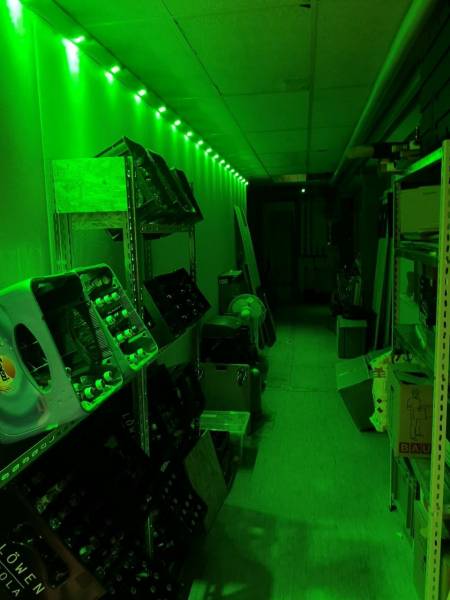 ganggruen1.jpg ganggruen1.jpg