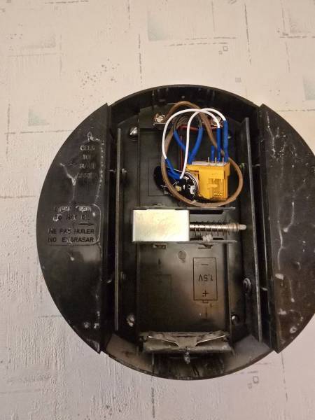 photo_2025-06-29_21-57-21.jpg photo_2025-06-29_21-57-21.jpg