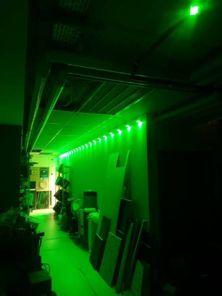 ganggruen2.jpg ganggruen2.jpg