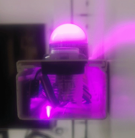 1d-pong_inside_animation.gif 1d-pong_inside_animation.gif