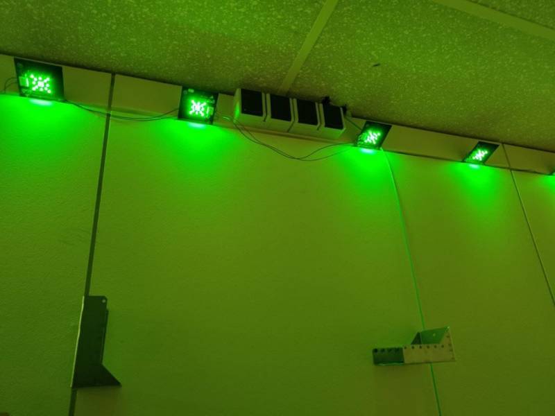 ganggruendirekt.jpg ganggruendirekt.jpg