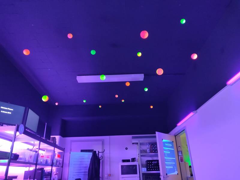 dspasfou0aaenqv.jpg_large.jpeg dspasfou0aaenqv.jpg_large.jpeg