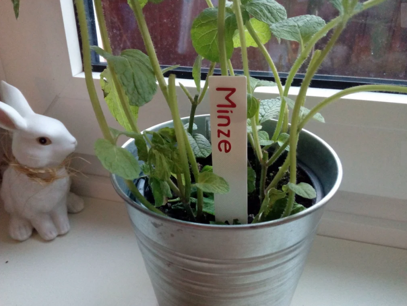 plantsigns.png plantsigns.png