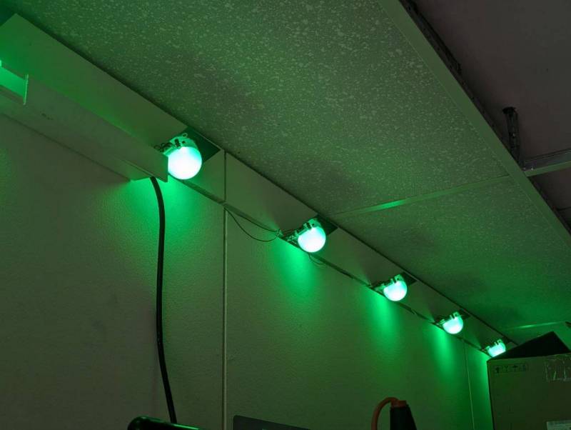 ganggruendiffus.jpg ganggruendiffus.jpg